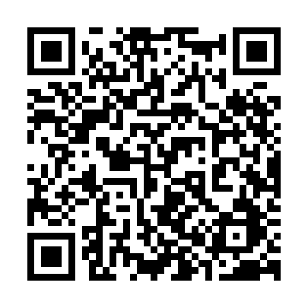 QR code for 384XBB
