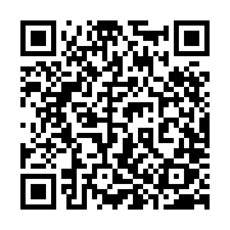 QR code for 384XLX