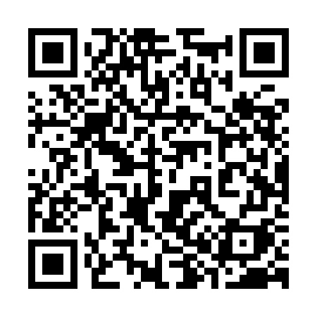 QR code for 384YGI