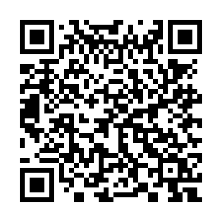 QR code for 385NGV