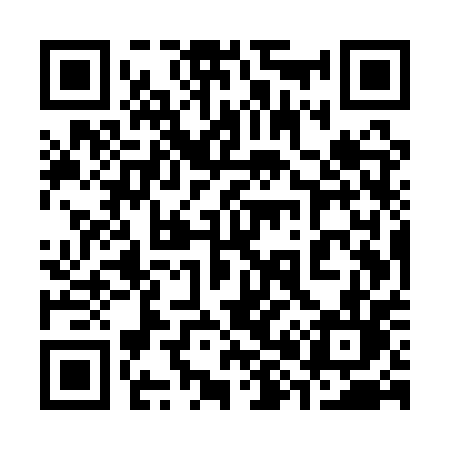 QR code for 385QPL