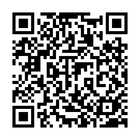 QR code for 386CAM