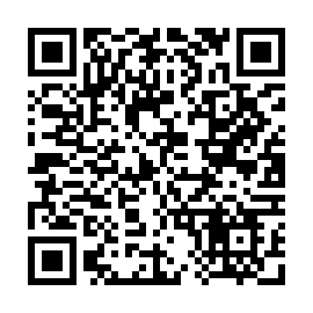 QR code for 386IFO