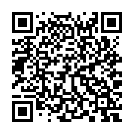 QR code for 386KZN