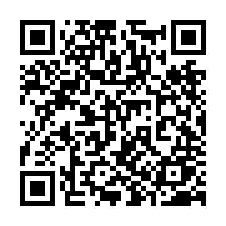 QR code for 386NNU