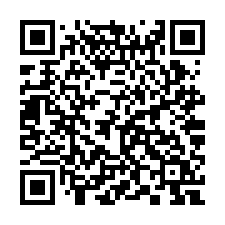 QR code for 386RAV