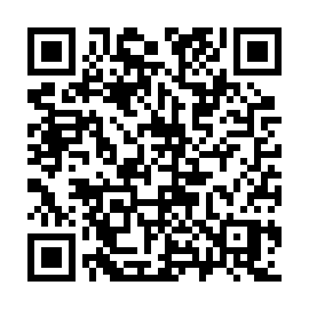QR code for 386RSP