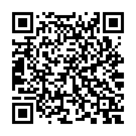 QR code for 386SRR