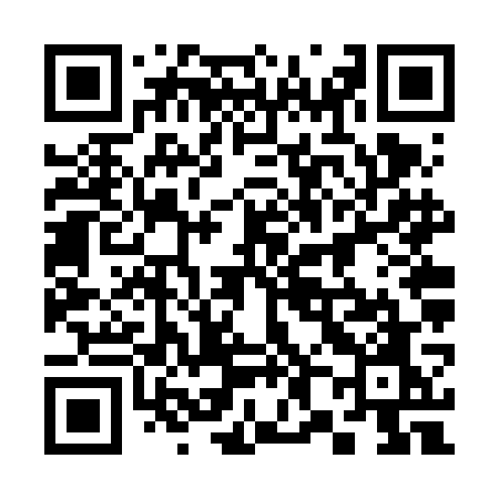 QR code for 386VGO