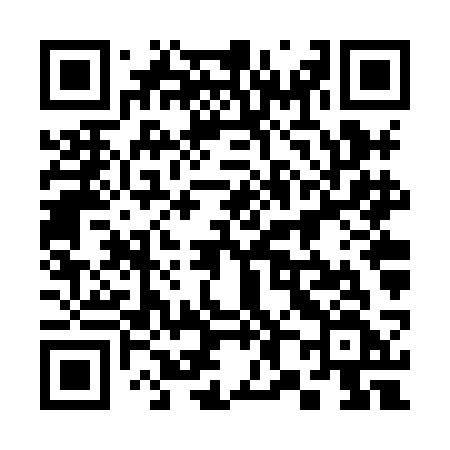 QR code for 386XCF