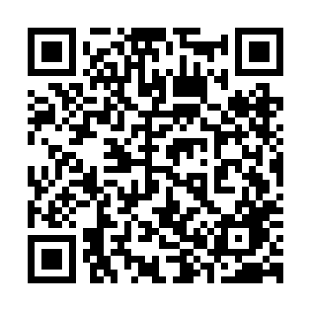 QR code for 387BHG