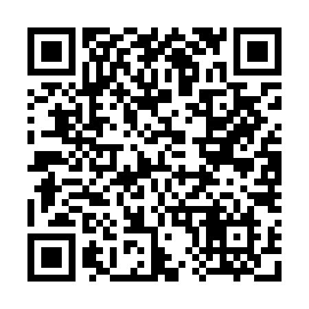 QR code for 387LIN