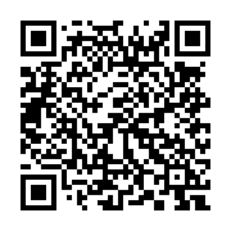 QR code for 387LVI