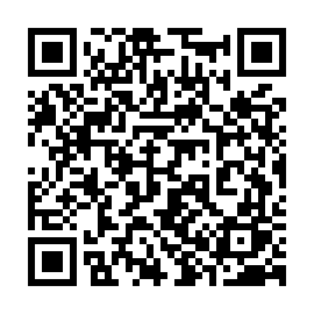 QR code for 387MVP