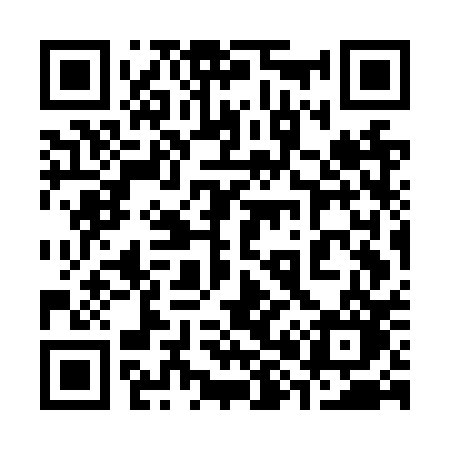 QR code for 387NPO