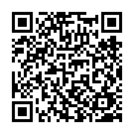 QR code for 387VCD