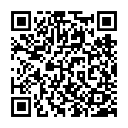 QR code for 387VNX