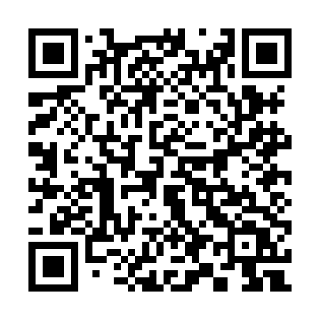 QR code for 390HDT
