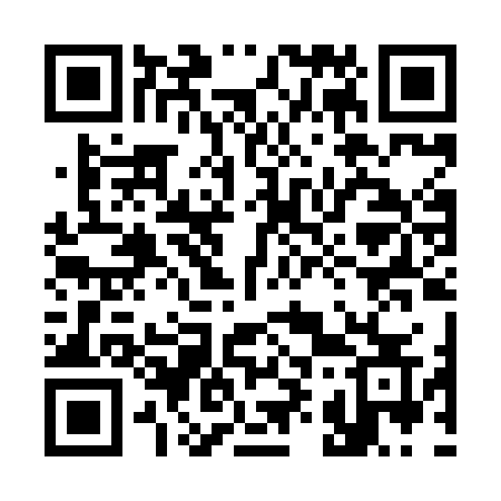 QR code for 390HJS
