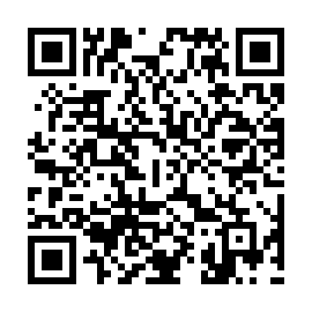 QR code for 390SHE