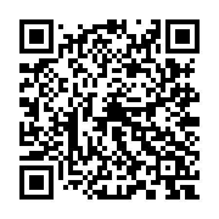 QR code for 390XDV