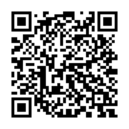 QR code for 390ZPT