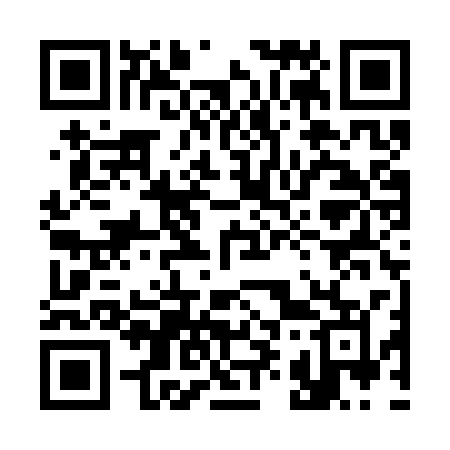 QR code for 391SSM