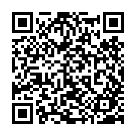QR code for 392DHO