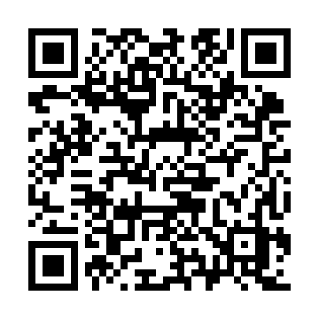 QR code for 392KHZ