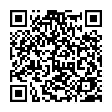 QR code for 393ACE