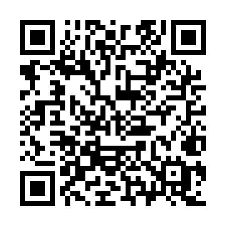 QR code for 393AME