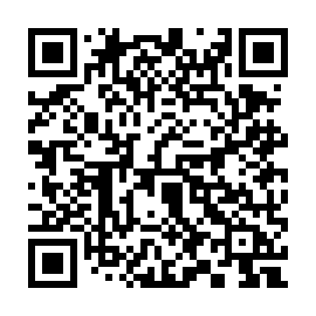 QR code for 393DMB