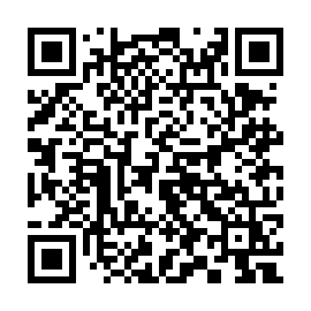 QR code for 393DOZ