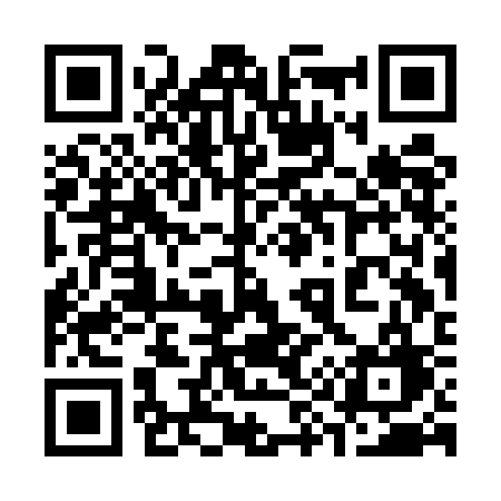 QR code for 393ECG