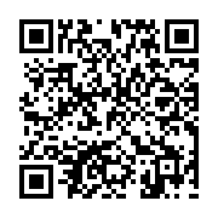 QR code for 393HOY