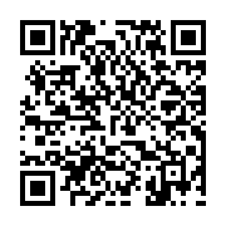 QR code for 393IAM