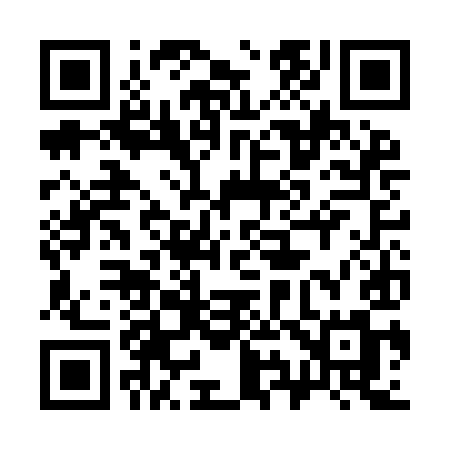 QR code for 393IIM