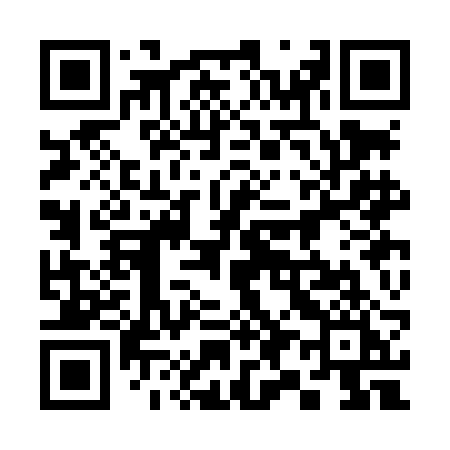 QR code for 393LBI