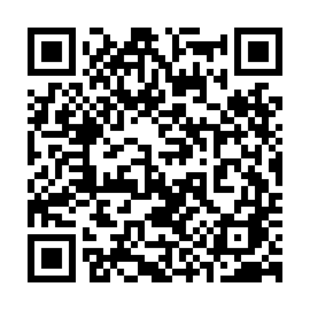 QR code for 393LDA