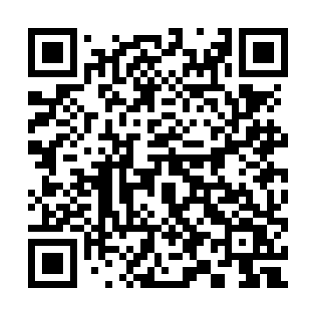 QR code for 393NHV