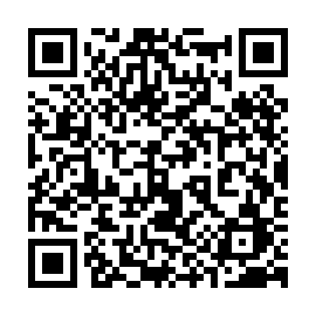 QR code for 393PCB