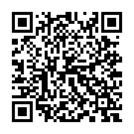 QR code for 393PNM
