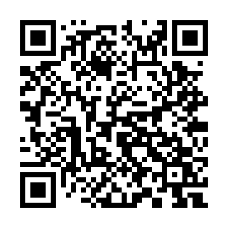 QR code for 393PVW