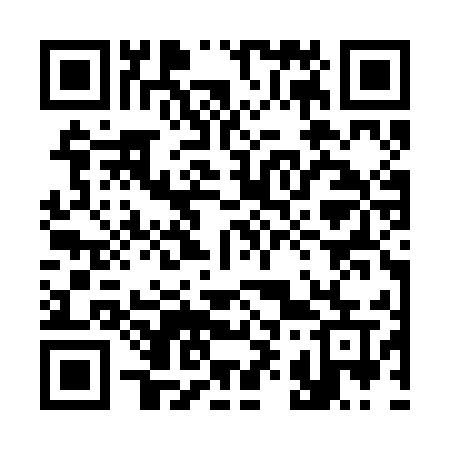 QR code for 393REU