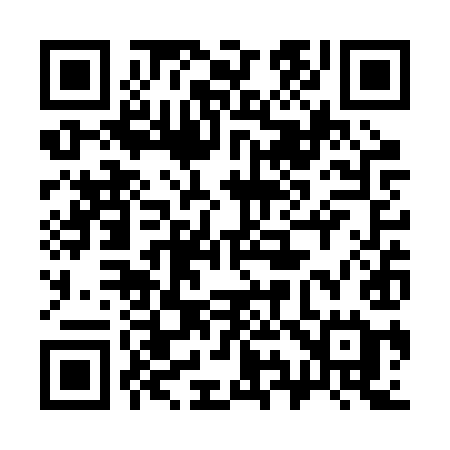QR code for 393RYE