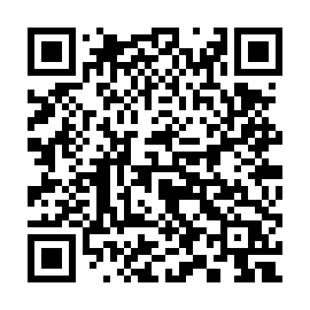 QR code for 393TTP