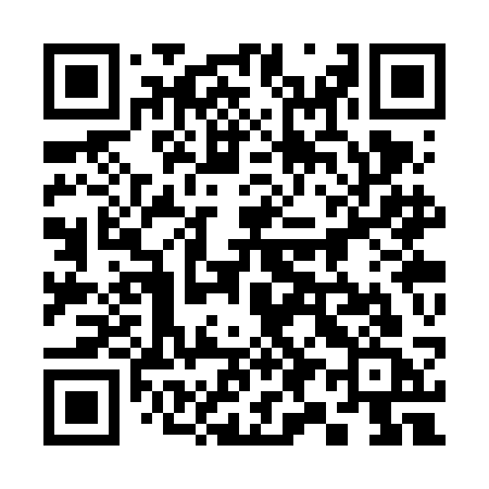 QR code for 393VCC