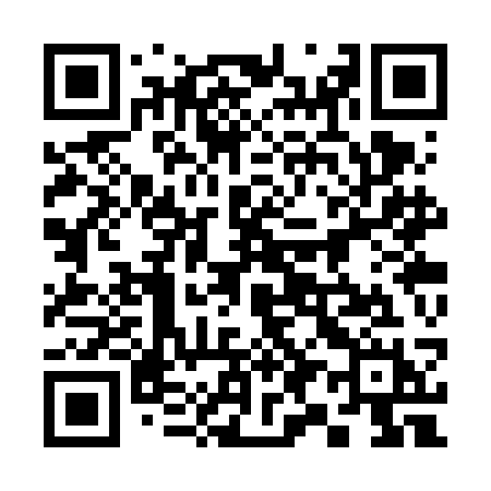 QR code for 393VCH