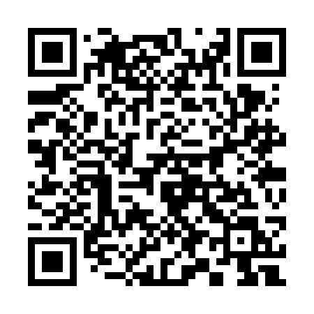 QR code for 393VCL