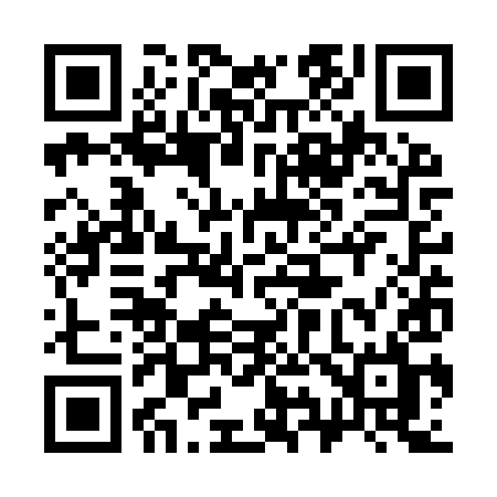 QR code for 393YYL